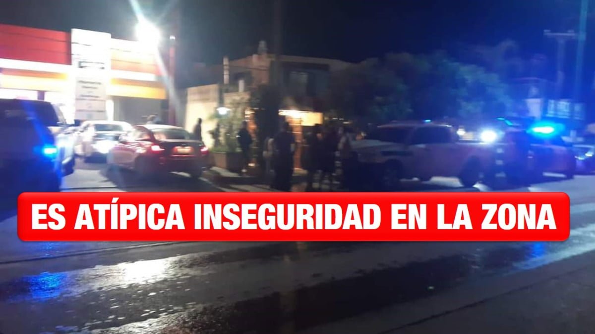 Atípicos, los casos de inseguridad que se han registrado en la zona sur