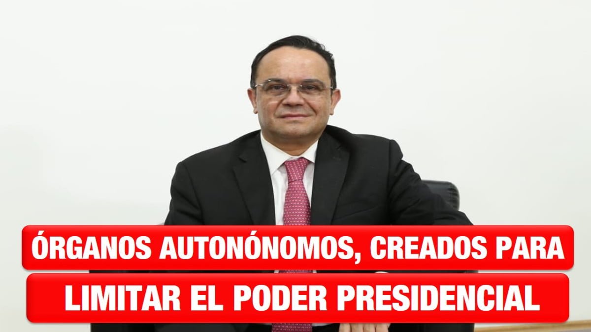 Órganos autónomos, creados para limitar poder presidencial: comisionado del INAI