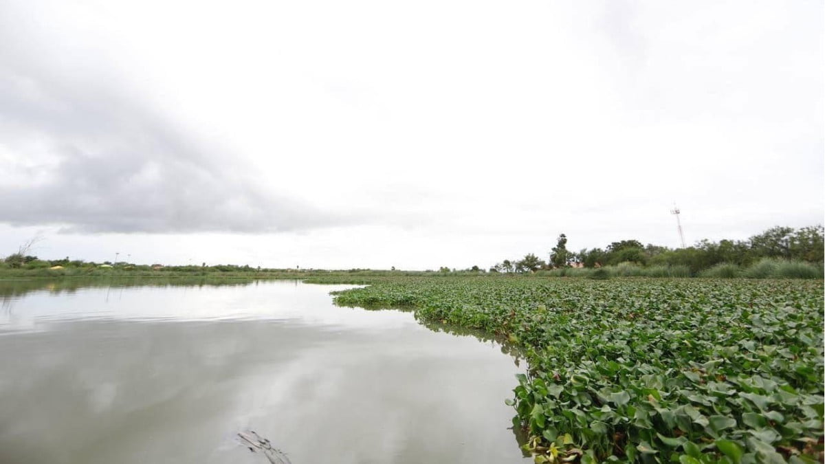El Gobierno Municipal de Nuevo Laredo busca sanear El Laguito