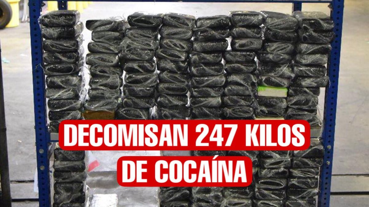 Decomisan 247 kilos de cocaína en puente internacional