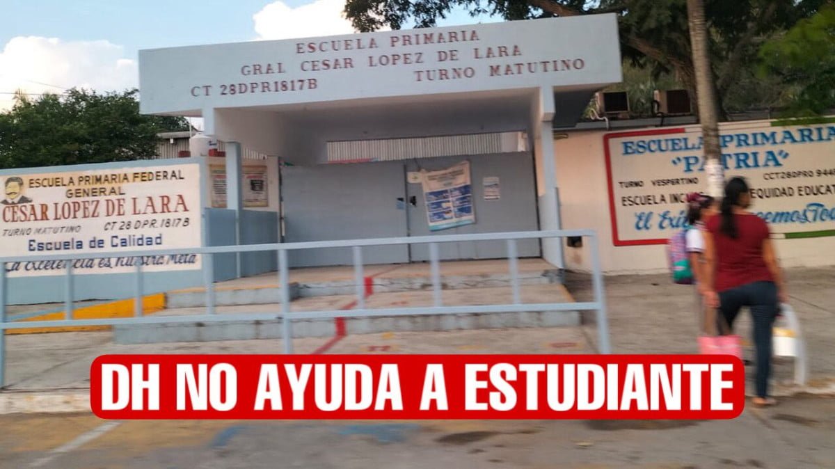 Intromisión de Derechos Humanos no ayuda en la formación de los estudiantes