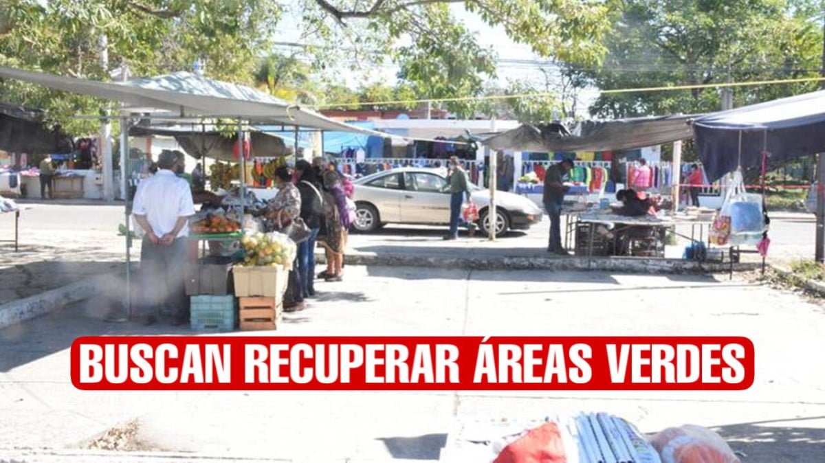 Invaden áreas verdes del municipio de Altamira; ayuntamiento busca recuperarlas