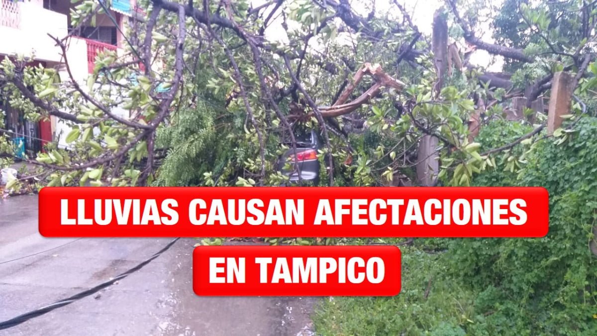 Lluvias causan afectaciones en Tampico