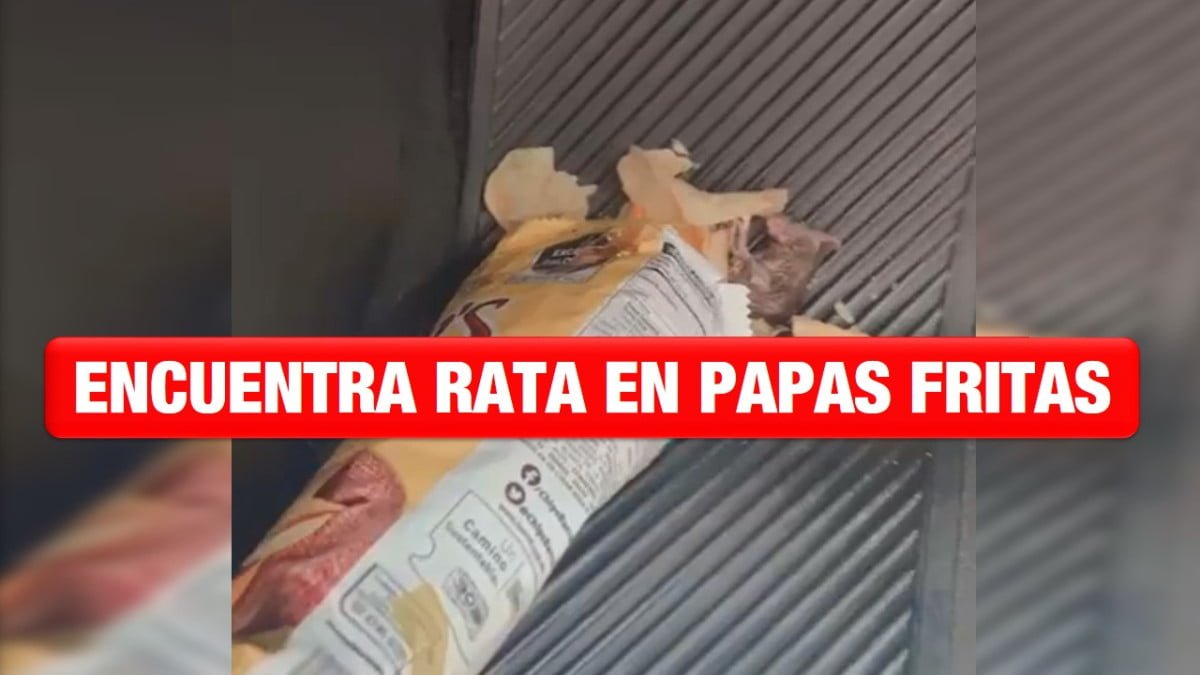 Encuentran una rata en bolsa de papas fritas
