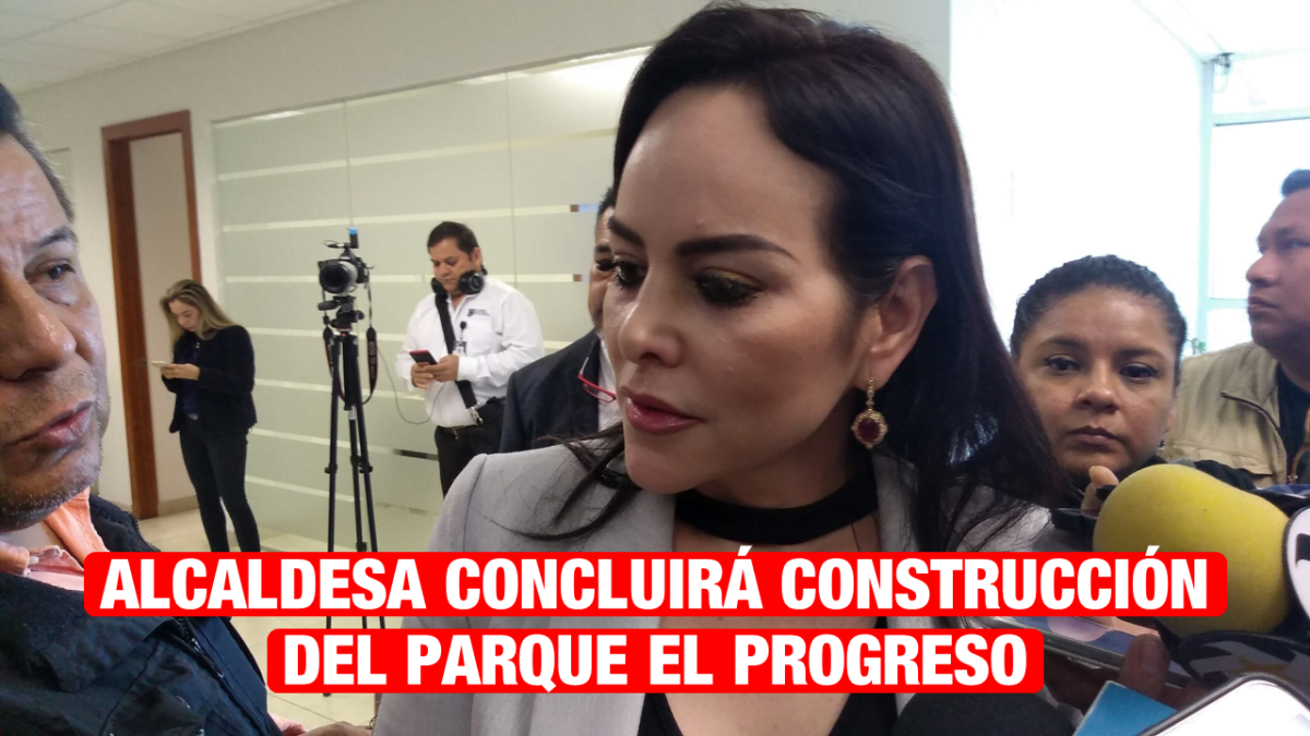 “Administración anterior dejó inconcluso el Parque Industrial El Progreso”: Carmen Lilia Canturosas