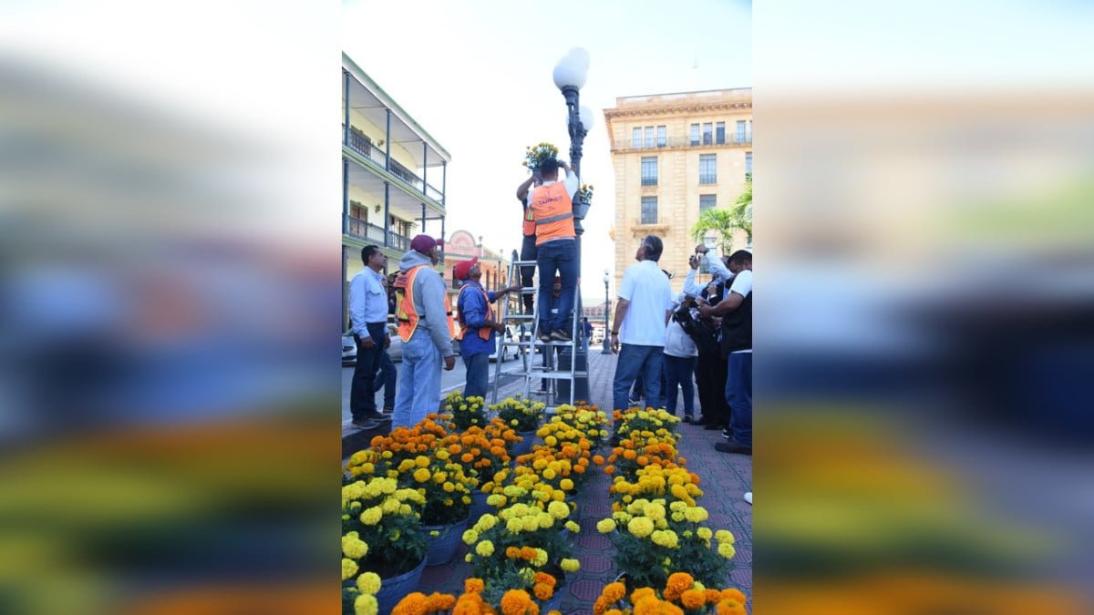 Crean Paseo Floral en la Calle Aduana de Tampico