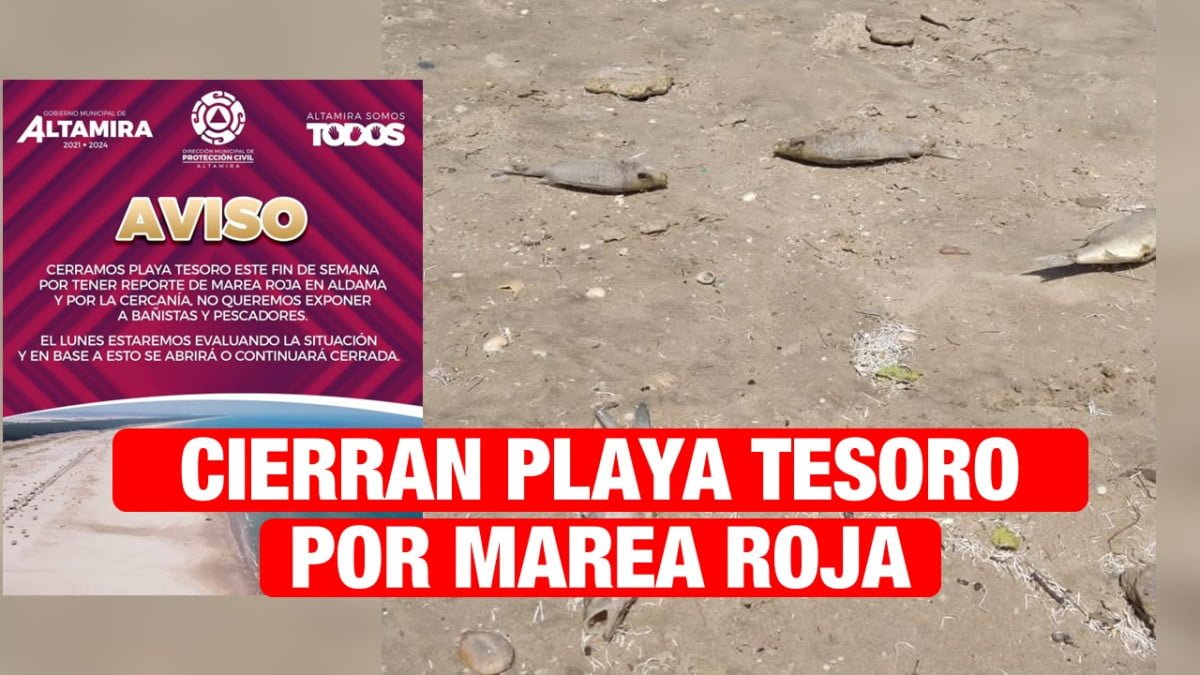 Por marea roja, cierran playa Tesoro en Altamira