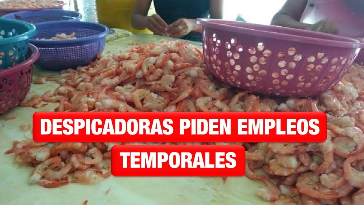 Despicadoras de la Morelos piden empleos temporales al Gobierno Estatal
