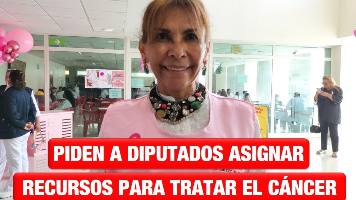 Activista sobreviviente de cáncer de mama, pide a diputados federales asignar recursos para tratar este padecimiento