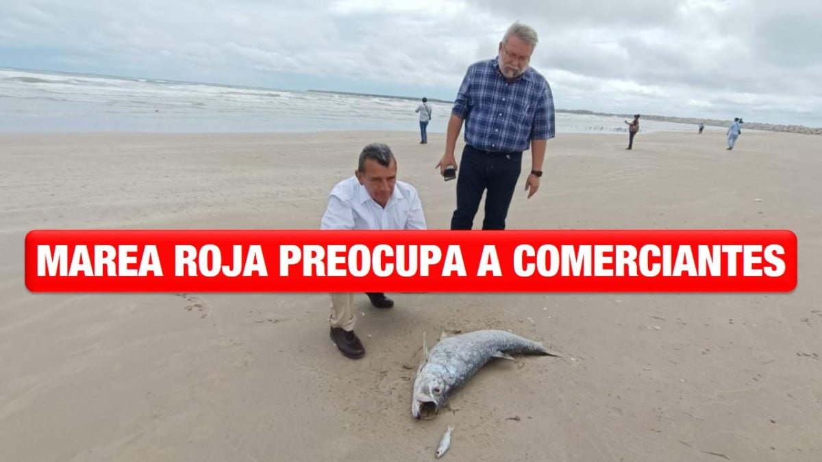 Preocupa marea roja a comerciantes de pescados y mariscos de Altamira