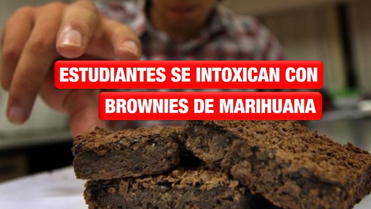 Estudiantes de Preparatoria se intoxican con brownies de marihuana