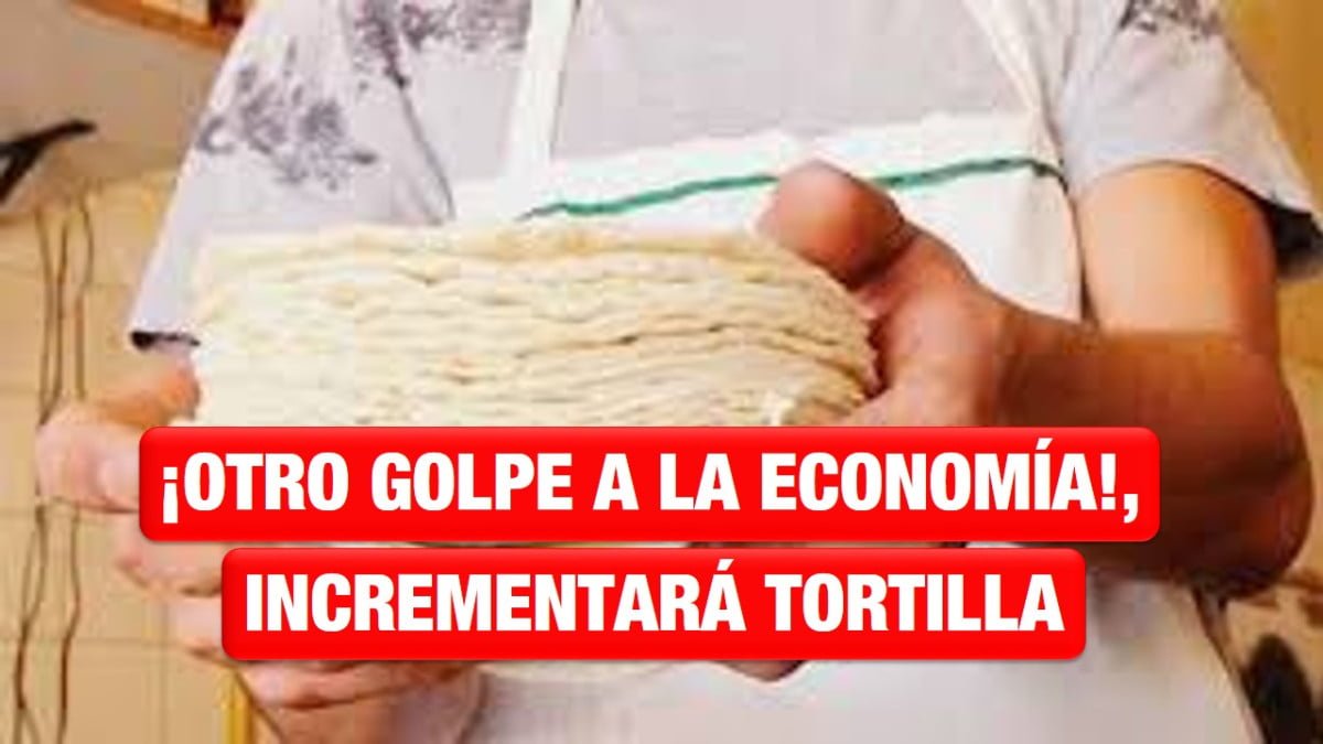 Se espera incremento del kilo de tortilla de maíz a finales de año en NLD