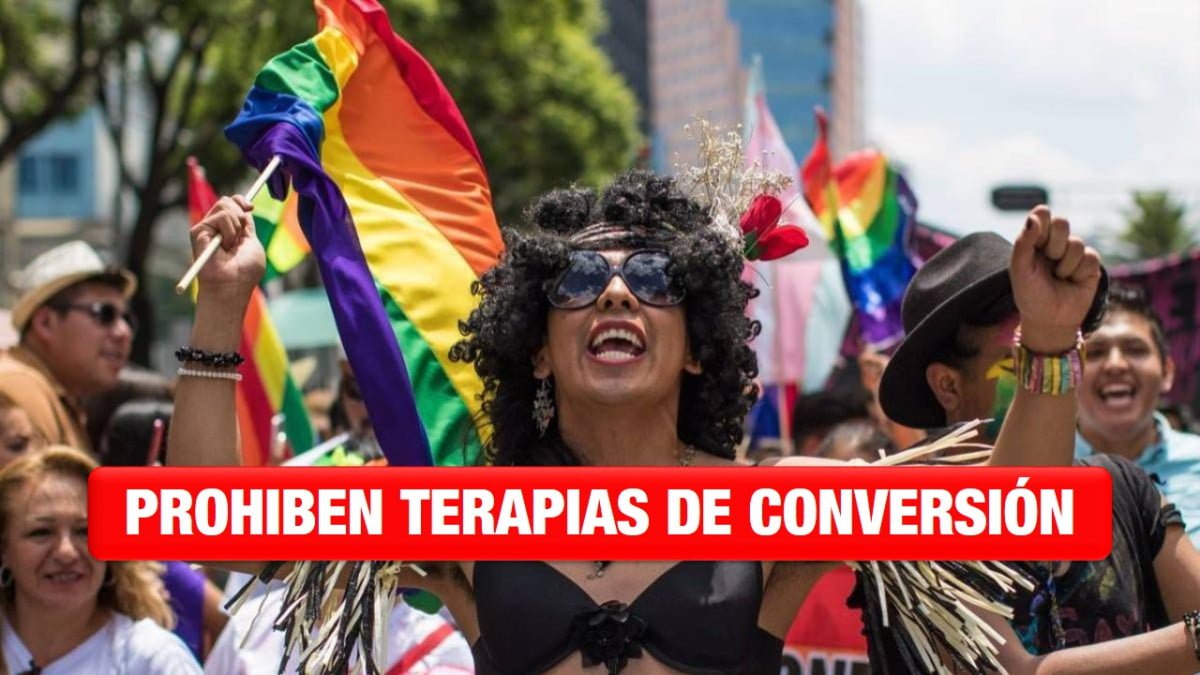 El Senado prohíbe por ley las «terapias de conversión» para personas LGBT+