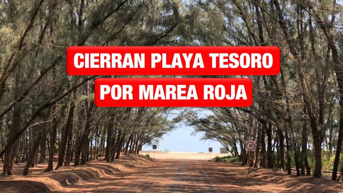 Playa Tesoro permanecerá cerrada por marea roja