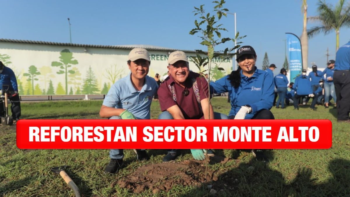Siembran 100 arboles como parte del programa «Green Forest Altamira»