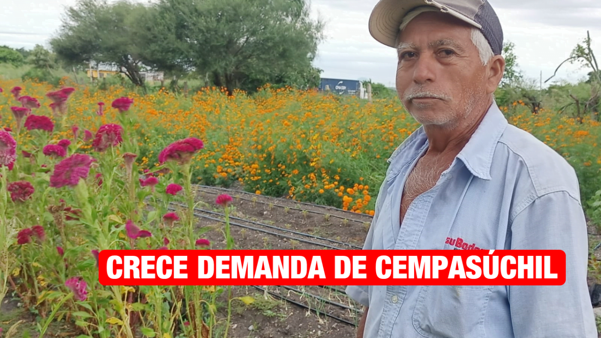 Familia de Altamira siembra Cempasúchil y mano de león