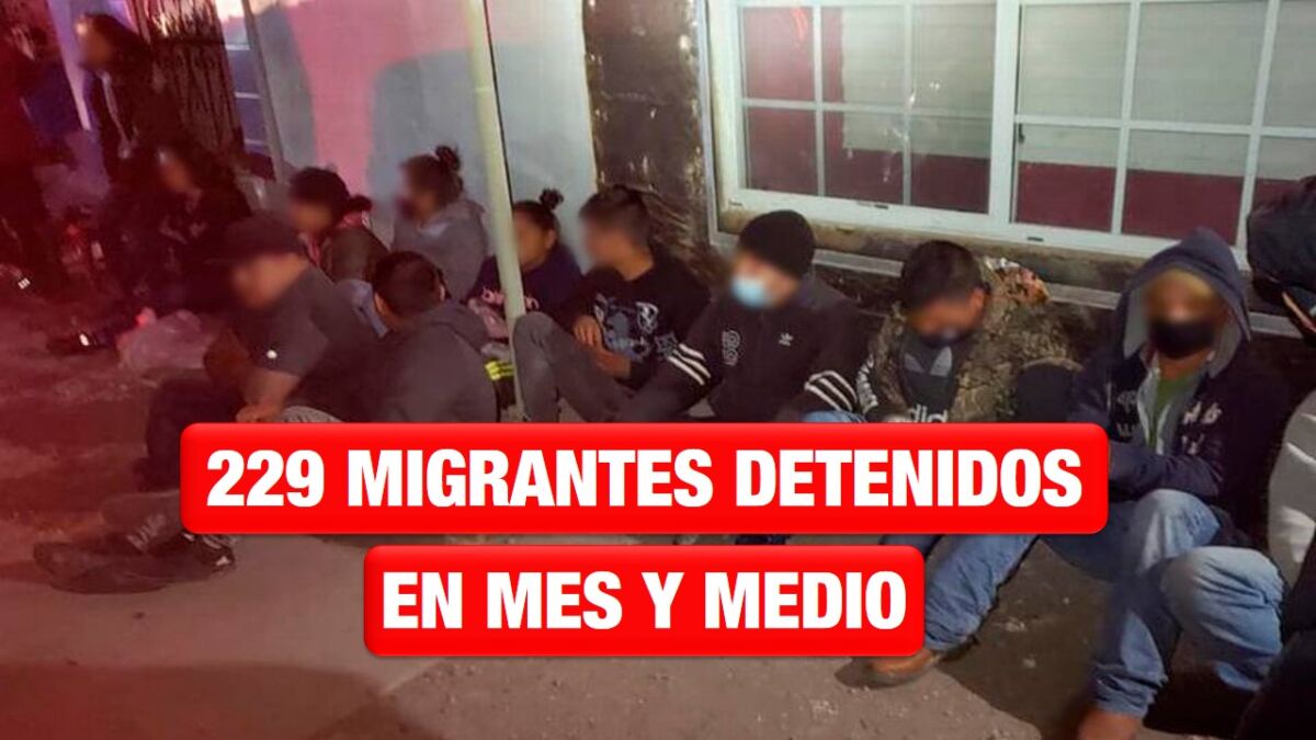 Reportan 229 migrantes detenidos en mes y medio en Tamaulipas
