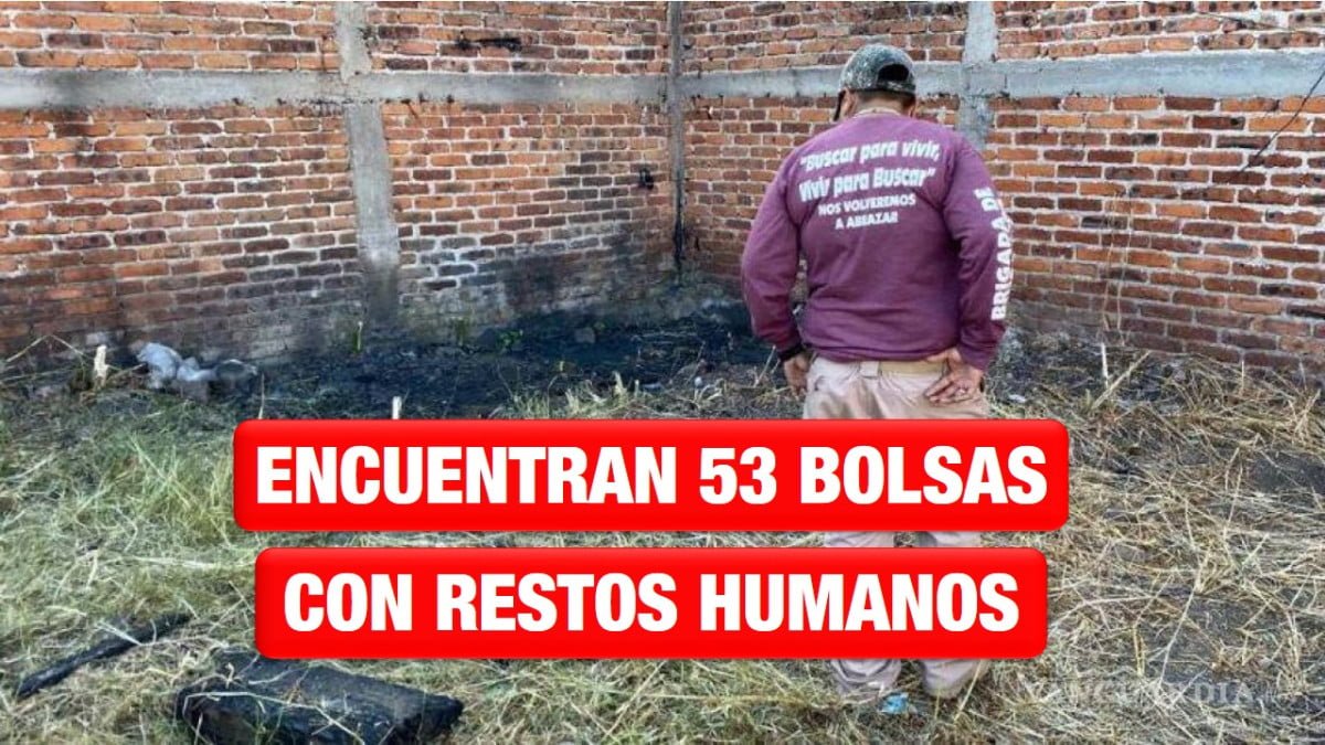 Encuentran narcofosa con 53 bolsas con restos humanos