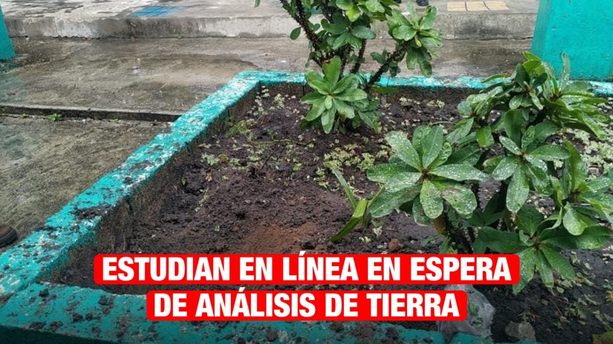 Alumnos siguen con clases en línea; aún no hay resultados del análisis de tierra