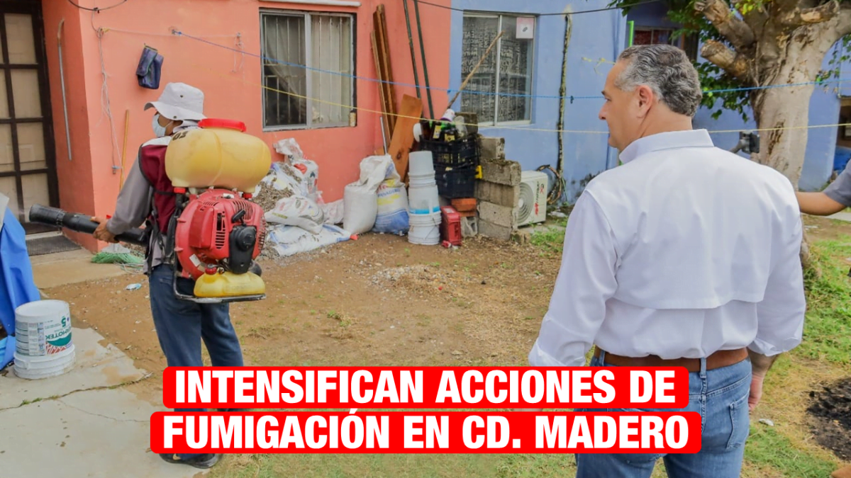 Intensifican fumigación en colonias maderenses