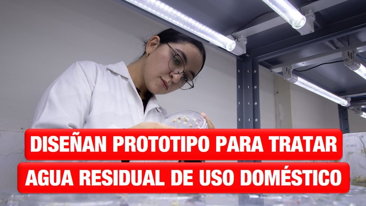 Estudiante de la UAT diseña prototipo para tratar agua residual de uso doméstico