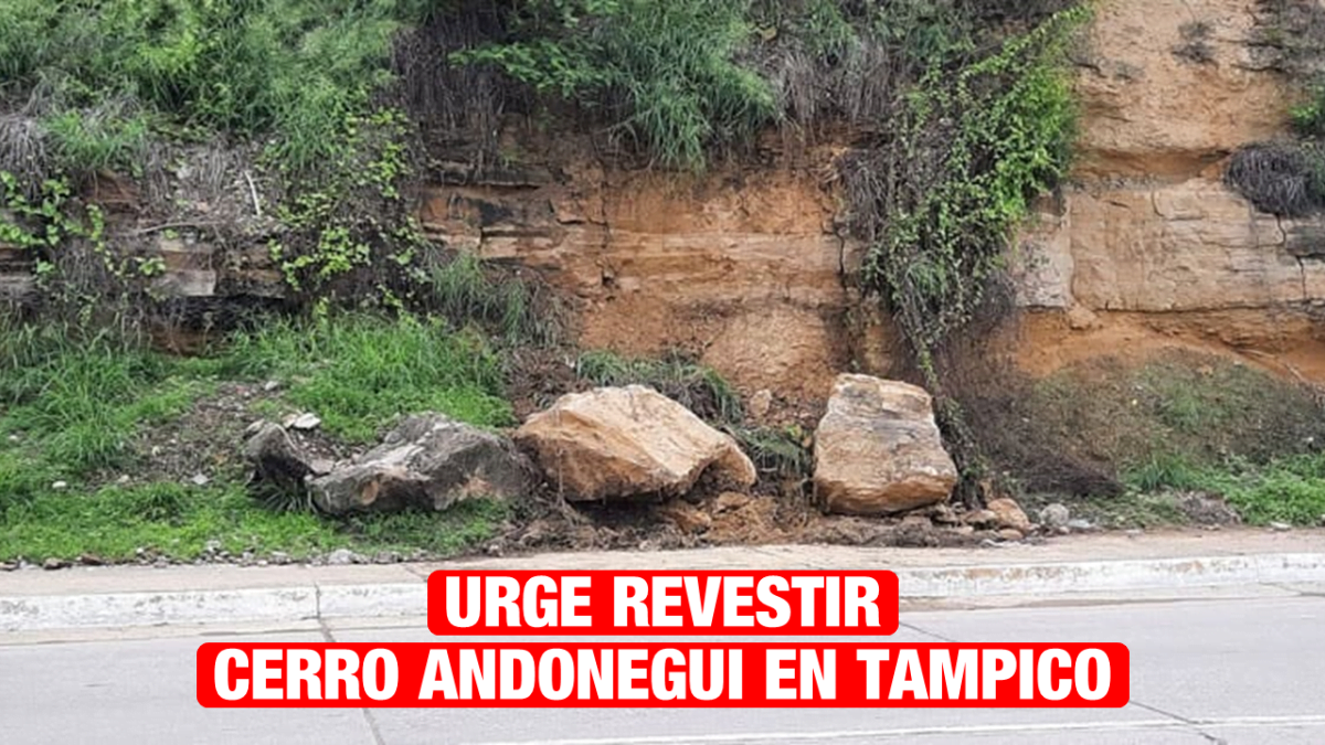 Urge revestir cerro de Andonegui en Tampico