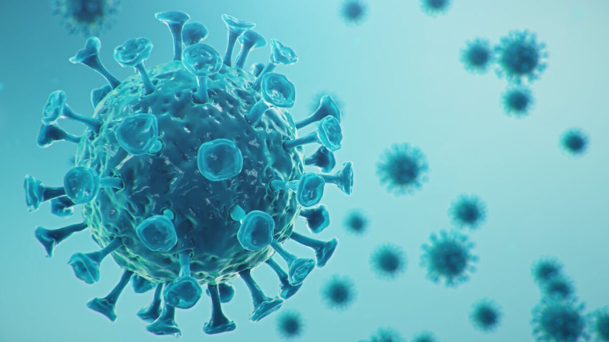 Refuerza Tamaulipas cerco sanitario contra la influenza aviar
