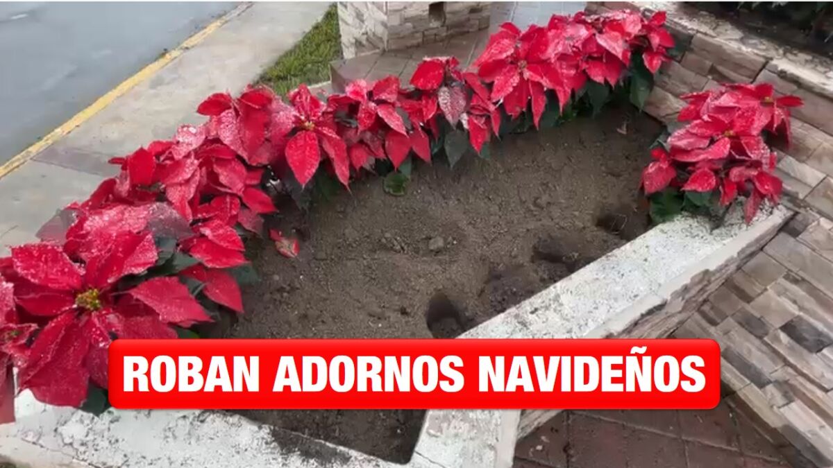 Reportan robo de adornos navideños en Nuevo Laredo