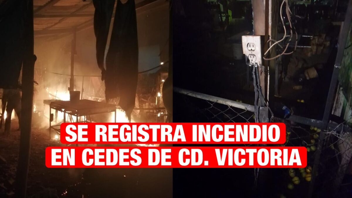 Sólo daños materiales deja incendio en taller de carpintería en CEDES Victoria.
