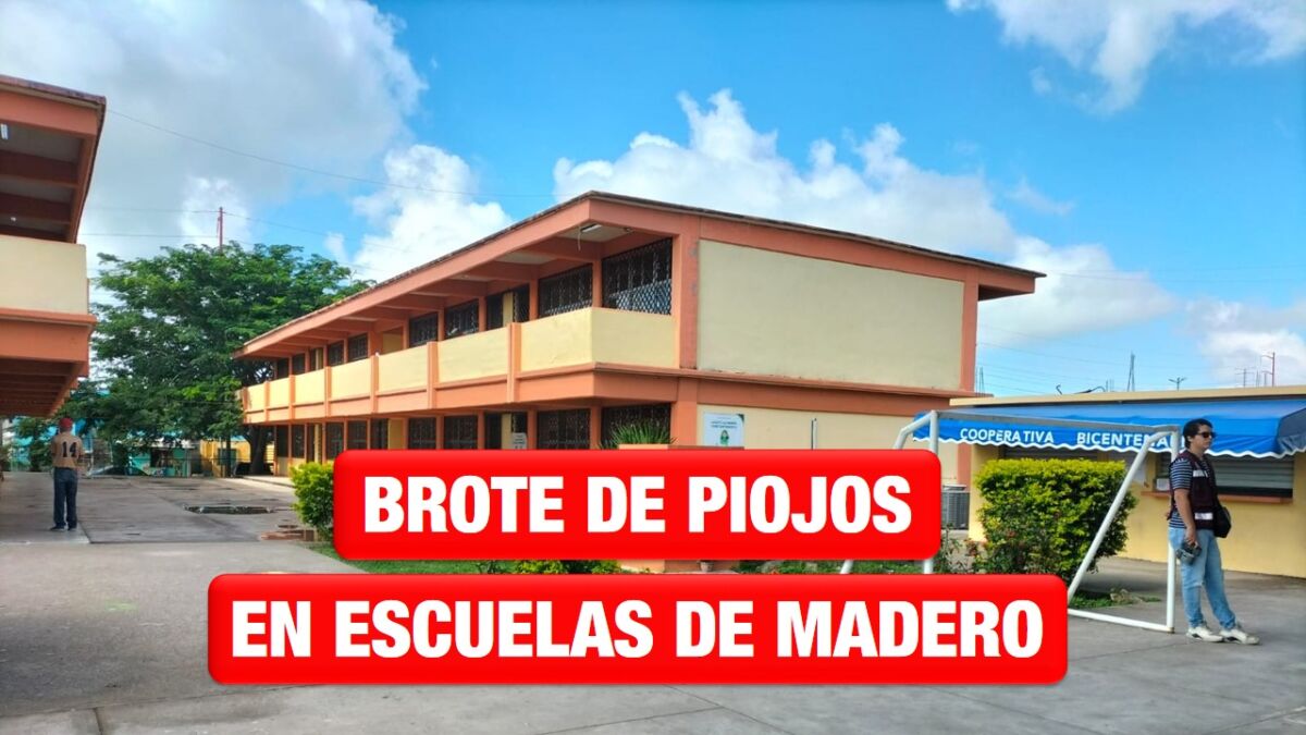 Brote de piojos en escuelas de Ciudad Madero