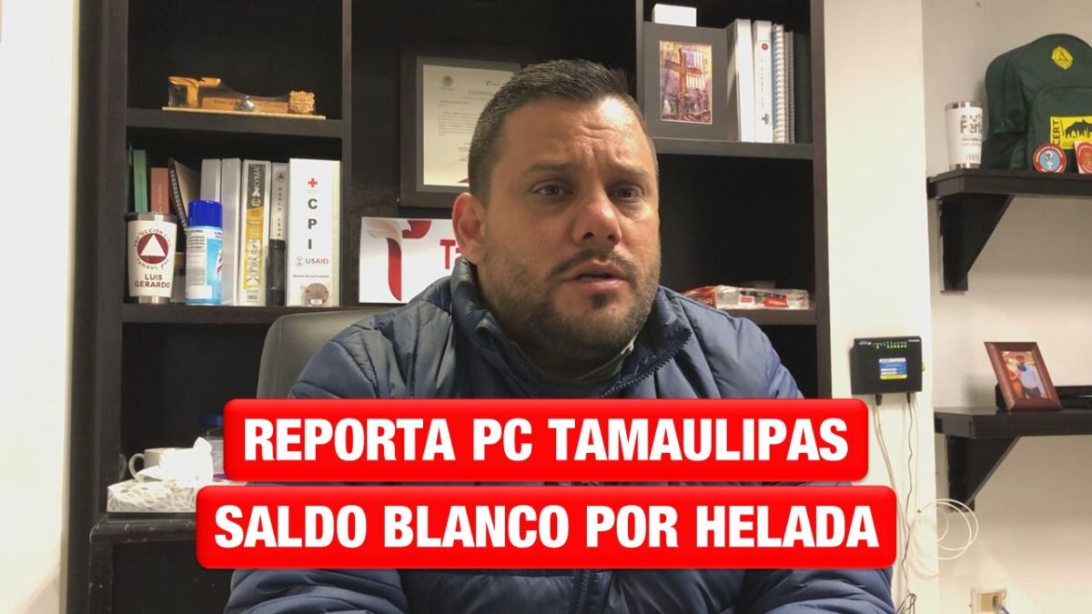 Reportan saldo blanco por helada en Tamaulipas