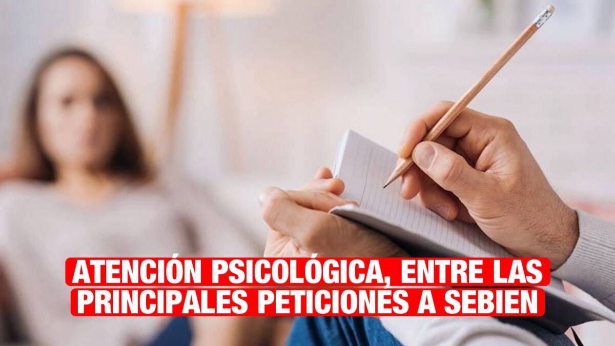 Atención psicológica y apoyos sociales, las principales demandas de la ciudadanía a Sebien
