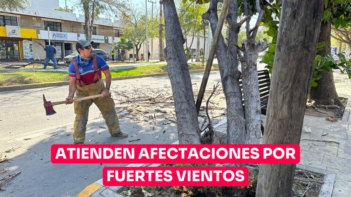 Atiende municipio afectación por fuertes vientos