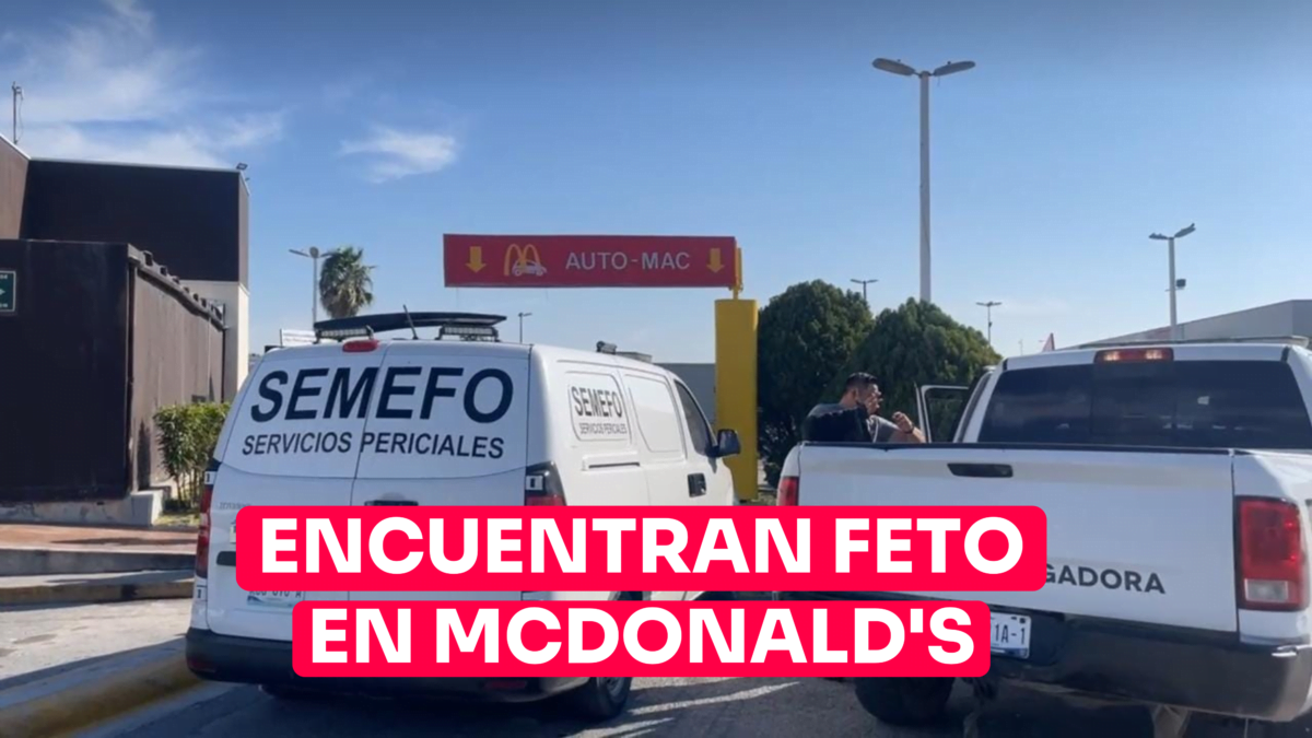 Encuentran feto en jardinera de McDonald’s