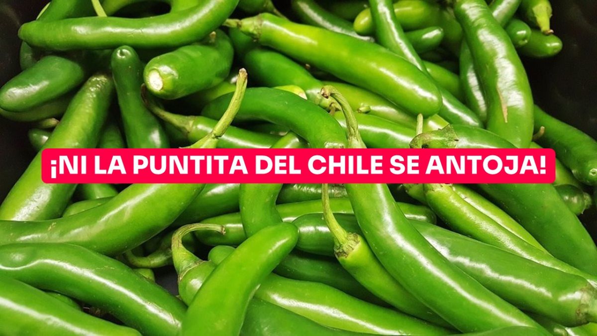 ¡Ya ni el chile se antoja! Venden el kg de serrano a más de 100 pesos