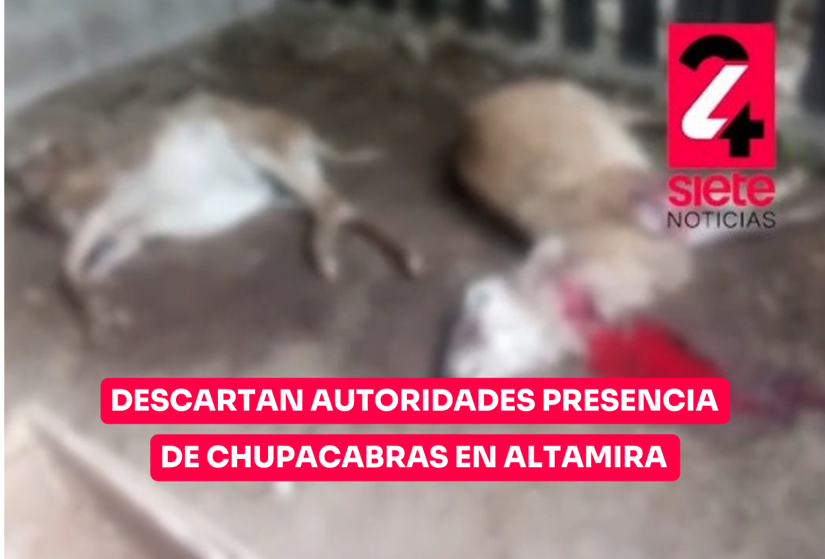 Descartan autoridades presencia de Chupacabras en Altamira