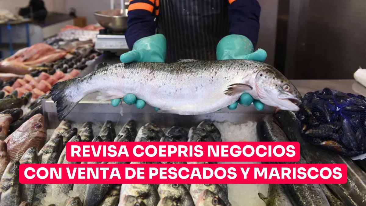 Revisa Coepris negocios con venta de pescados y mariscos
