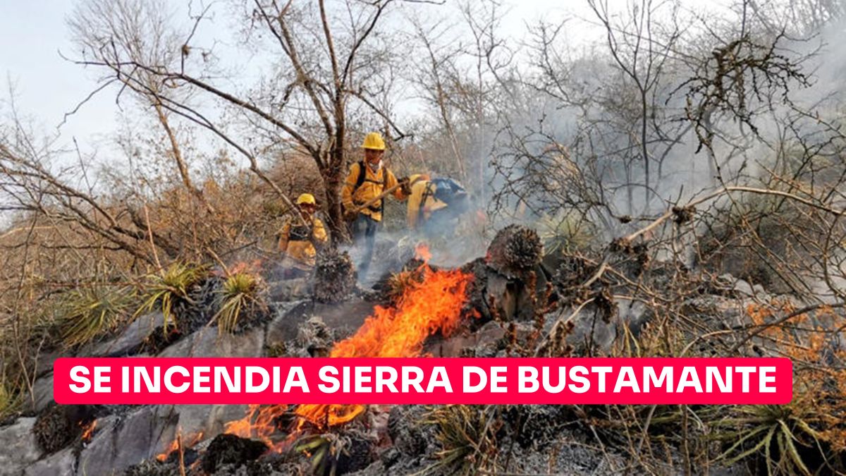 Se registra incendio en Sierra de Bustamante