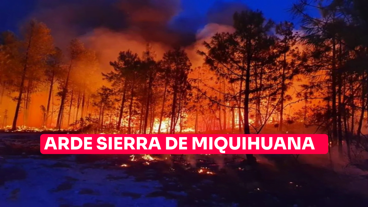 Arde Sierra de Miquihuana