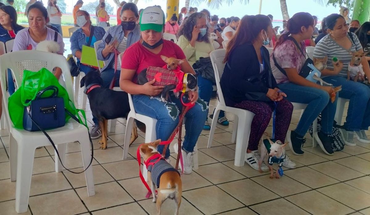 Entregan credenciales de animalitos de compañía en Altamira