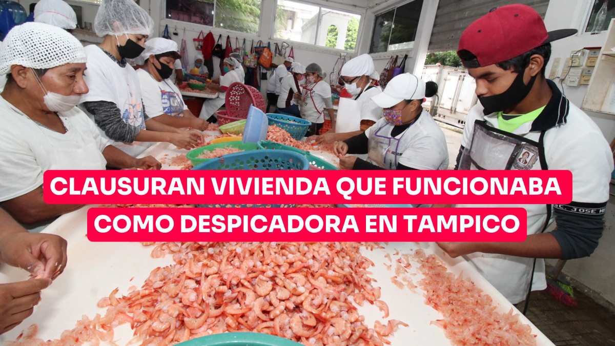 Clausura Coepris vivienda que funcionaba como despicadora en la Morelos de Tampico