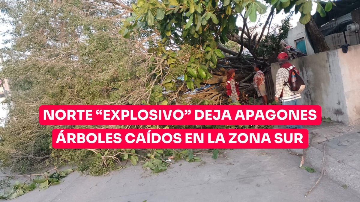 Norte explosivo deja apagones y árboles caídos en la zona sur