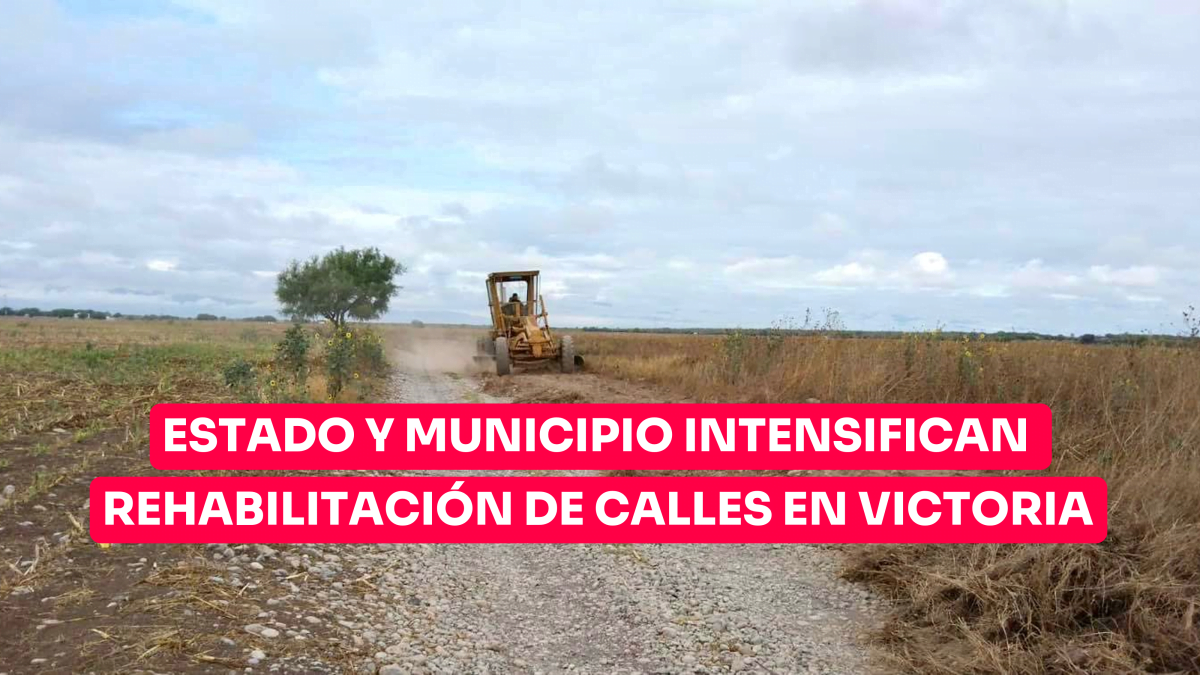 Estado y municipio intensifican rehabilitación de calles en Victoria