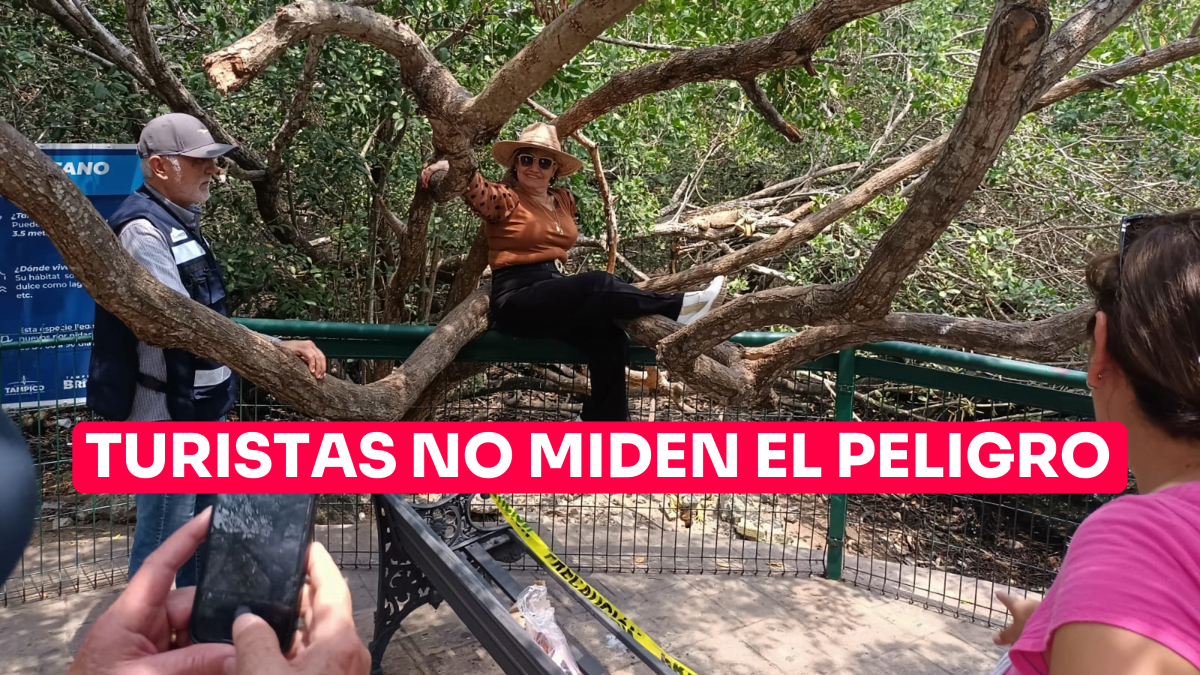 Turistas no miden el peligro con tal de posar para foto del recuerdo