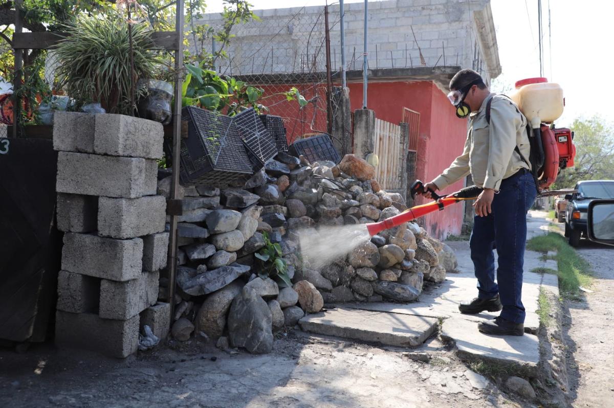 Exhorta Secretaría de Salud a la población a reforzar medidas de prevención contra el dengue