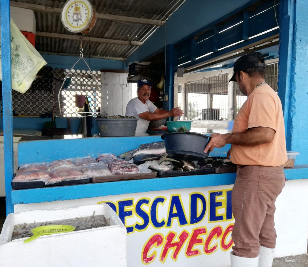 Pescaderias de la zona sur afectadas por la falta de hielo