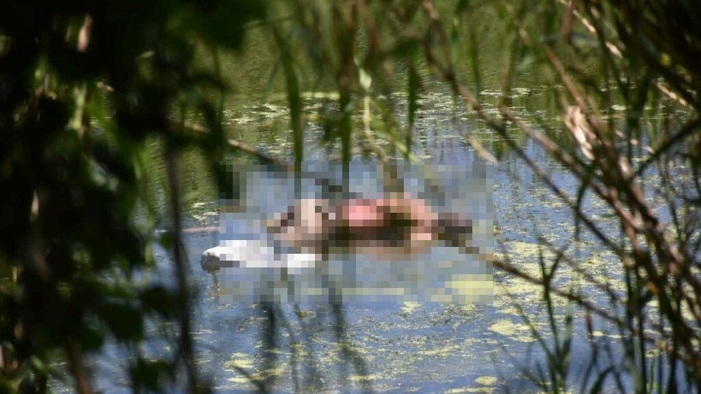 Encuentran cuerpo flotando en el río Bravo