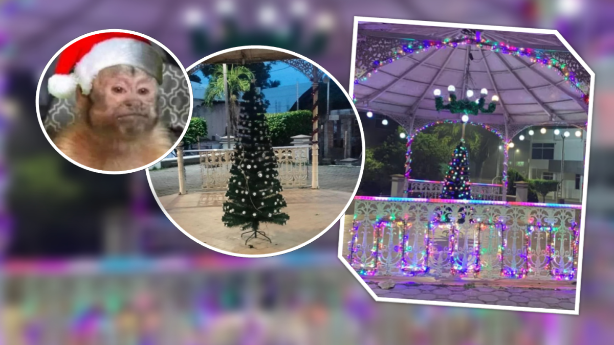 Árbol navideño municipal causa polémica por su pequeño tamaño
