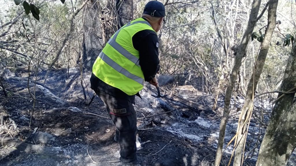 Incendio forestal en El Mante controlado al 95%
