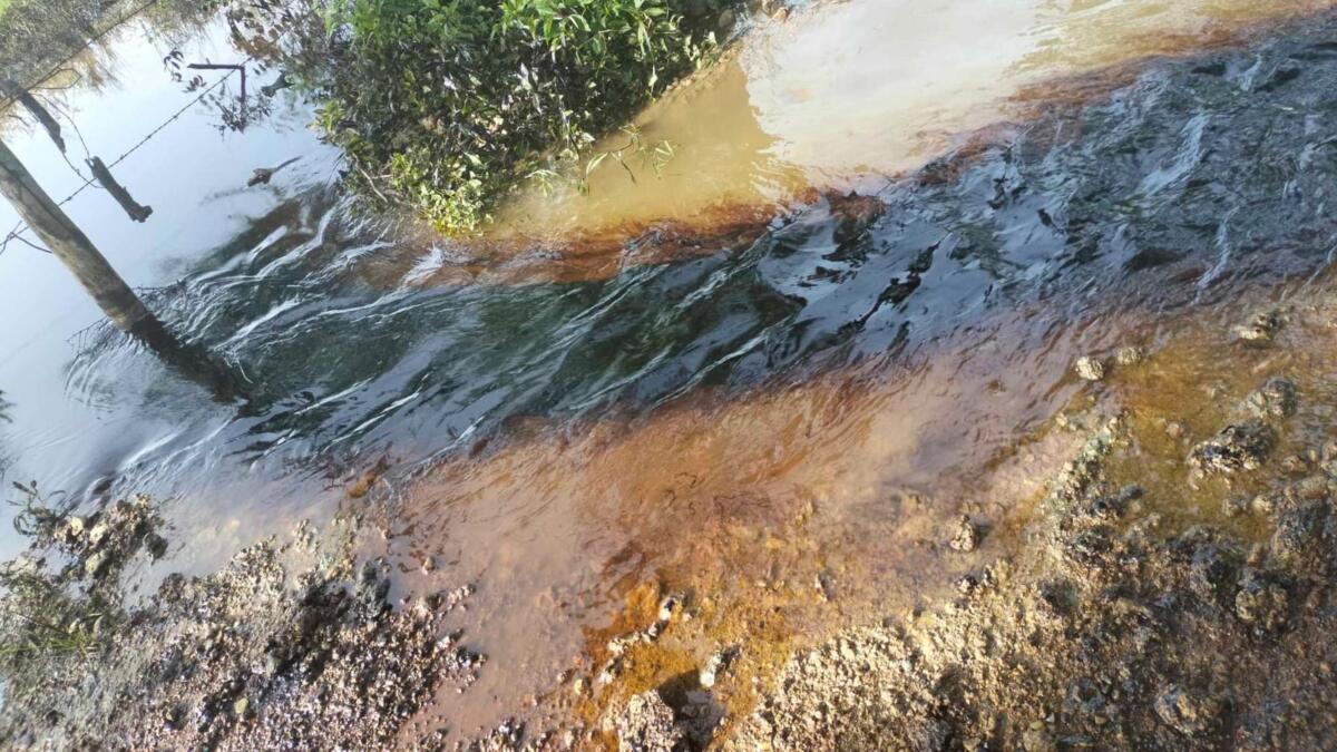 Derrame de hidrocarburo daña siembra de chile y potreros en Altamira